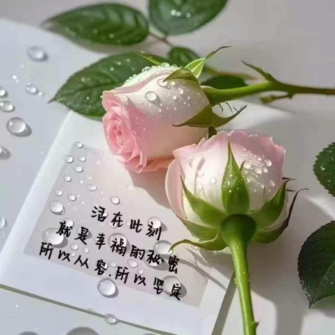 小俞儿