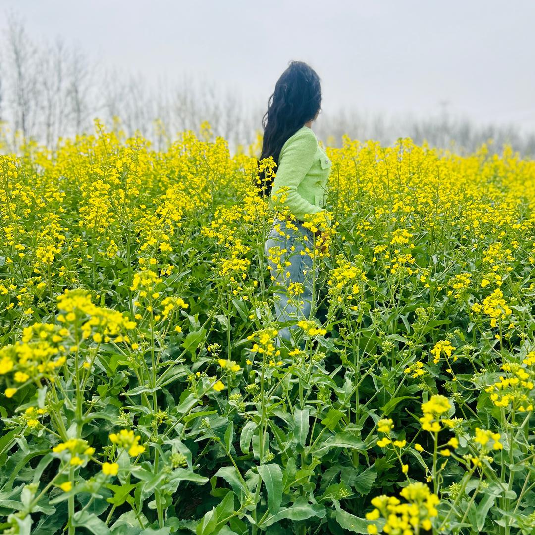 @芬《邳州大康蒜业》