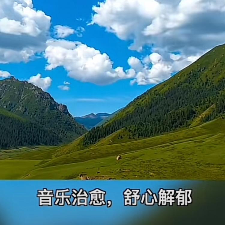 春华