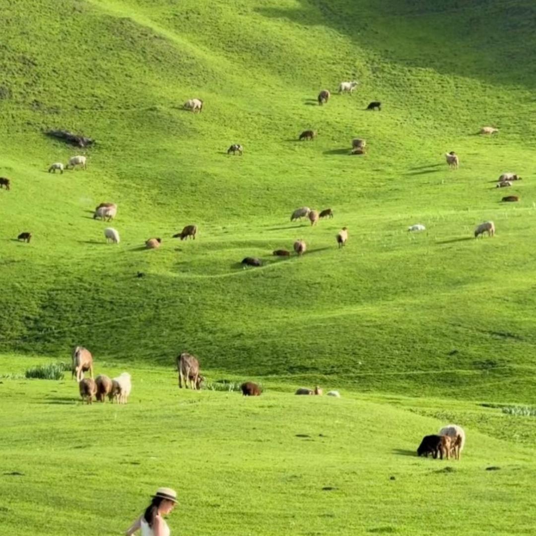 美丽的风景
