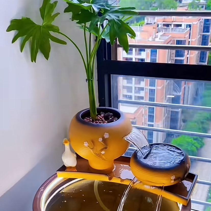 金屋藏鱼