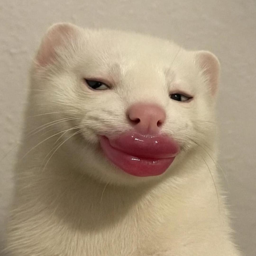 暴躁大王！