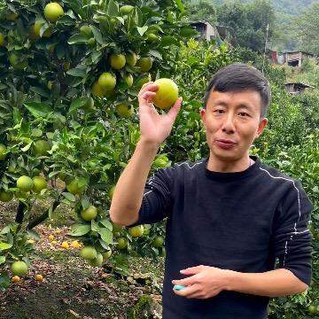 宋师傅好货