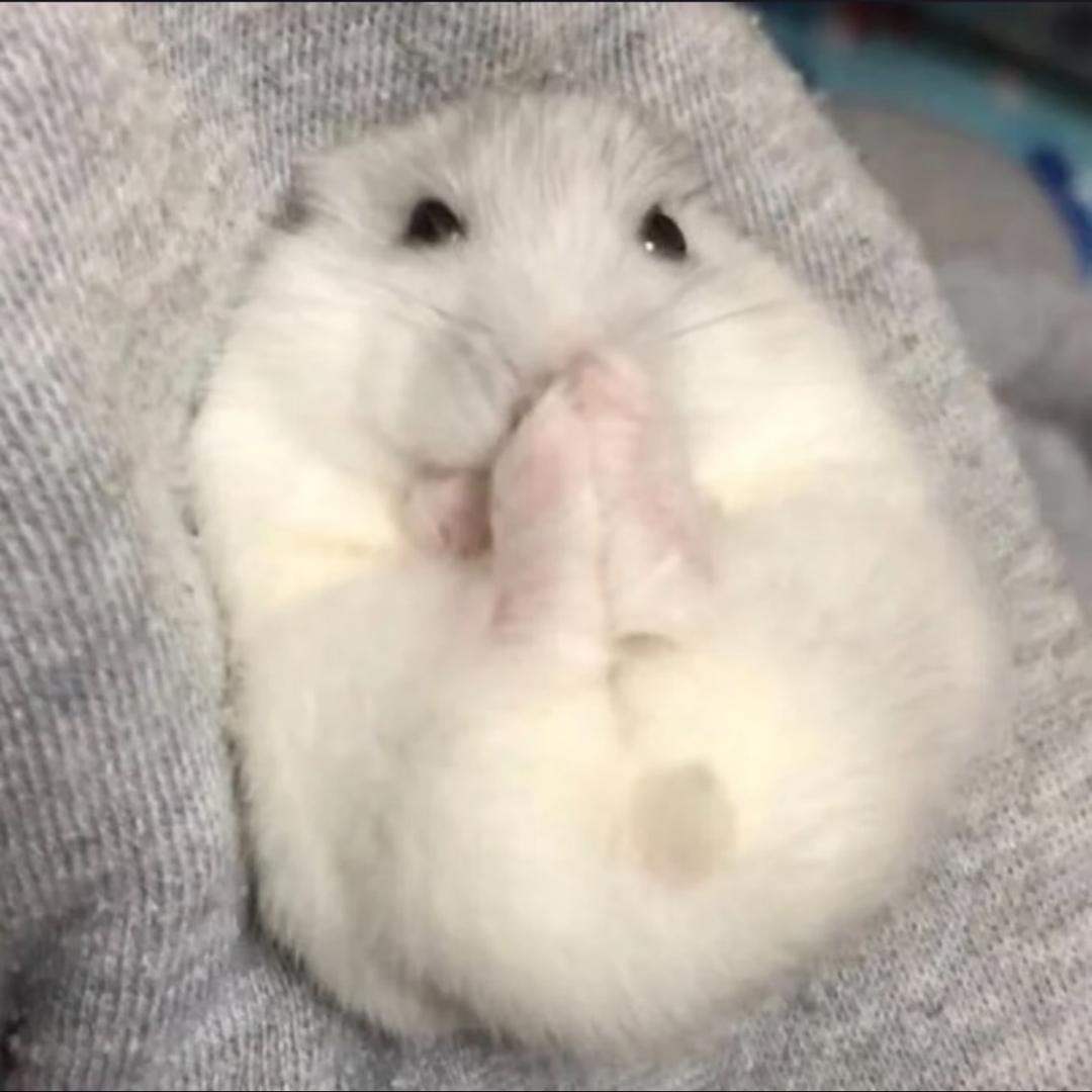00000
