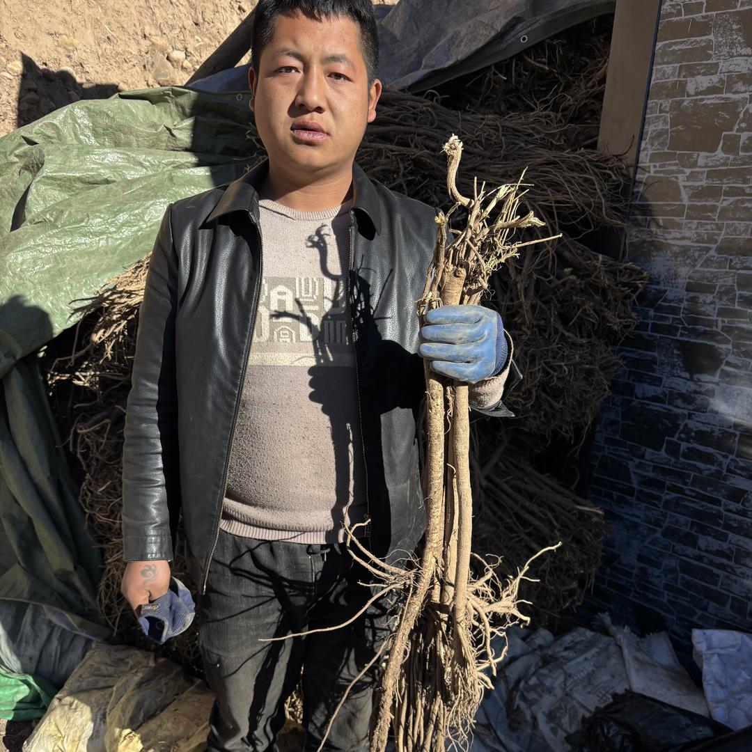 漳县曹亮滋补农产品精选小铺