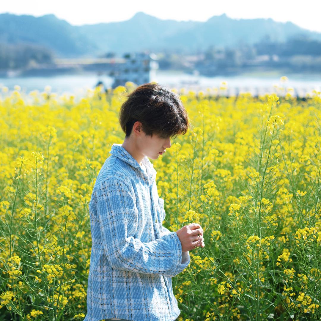 熊本熊