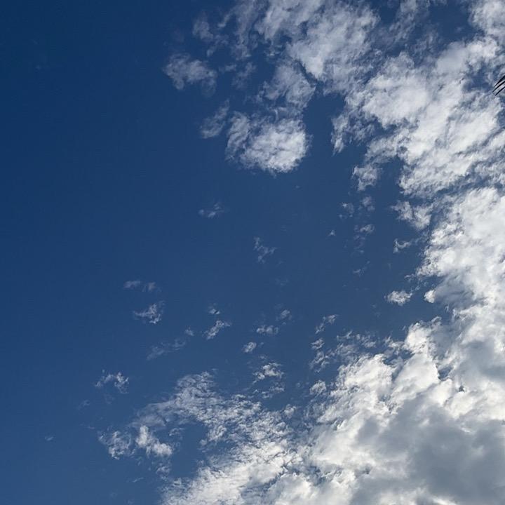 不期而遇