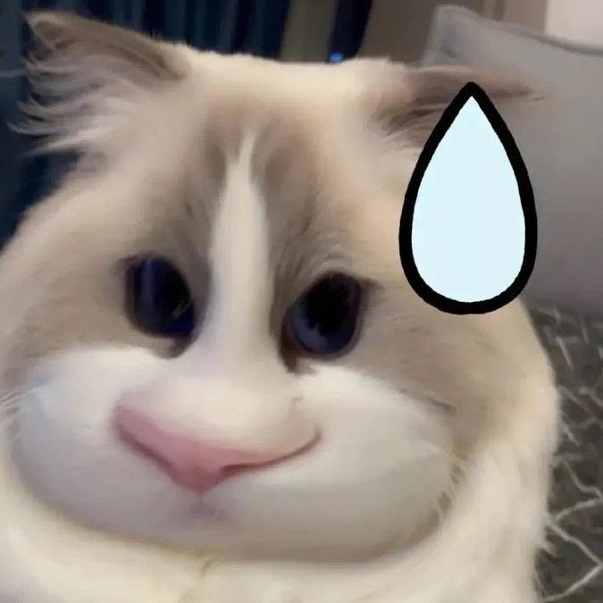 猪猪小野
