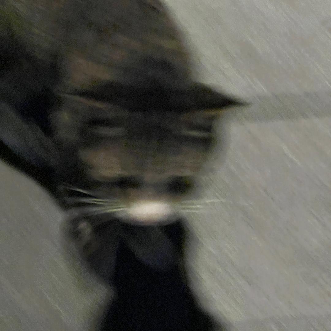 当当当当