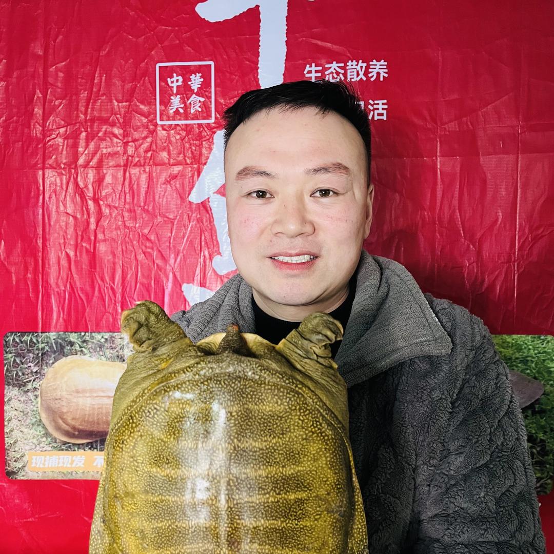 洋洋甲鱼
