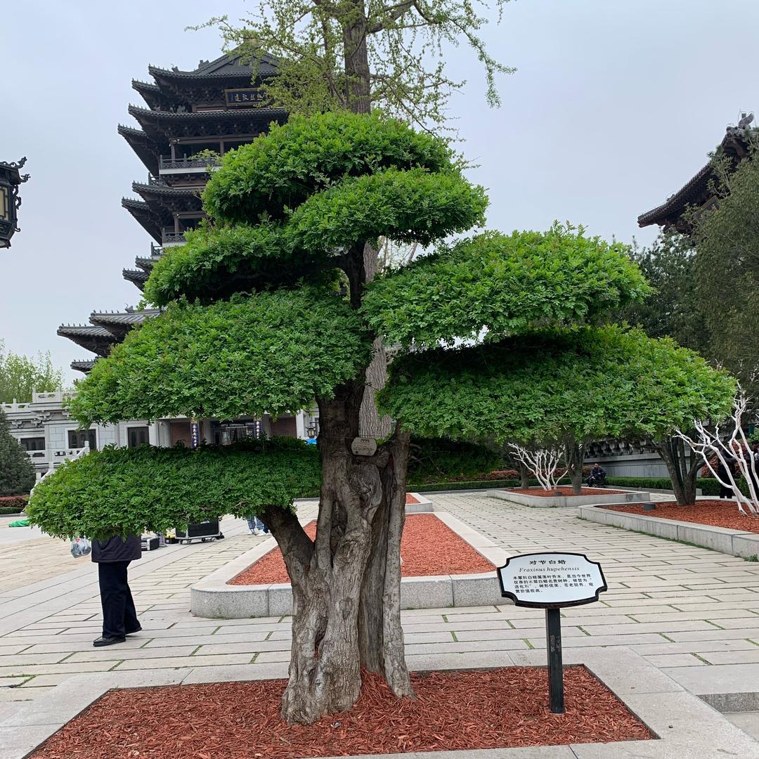 小幸运🍀