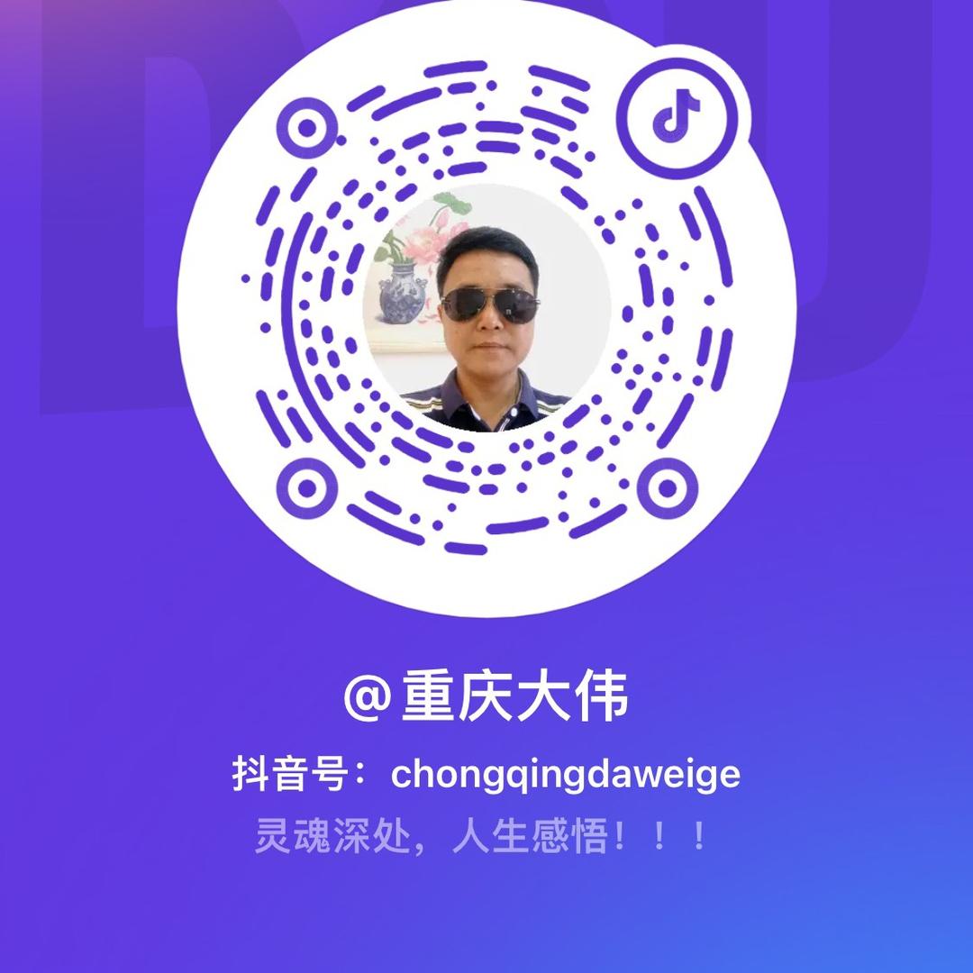重庆大伟