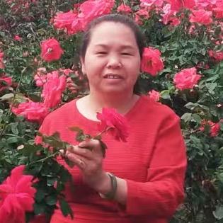 洪姐（橱窗有好物）