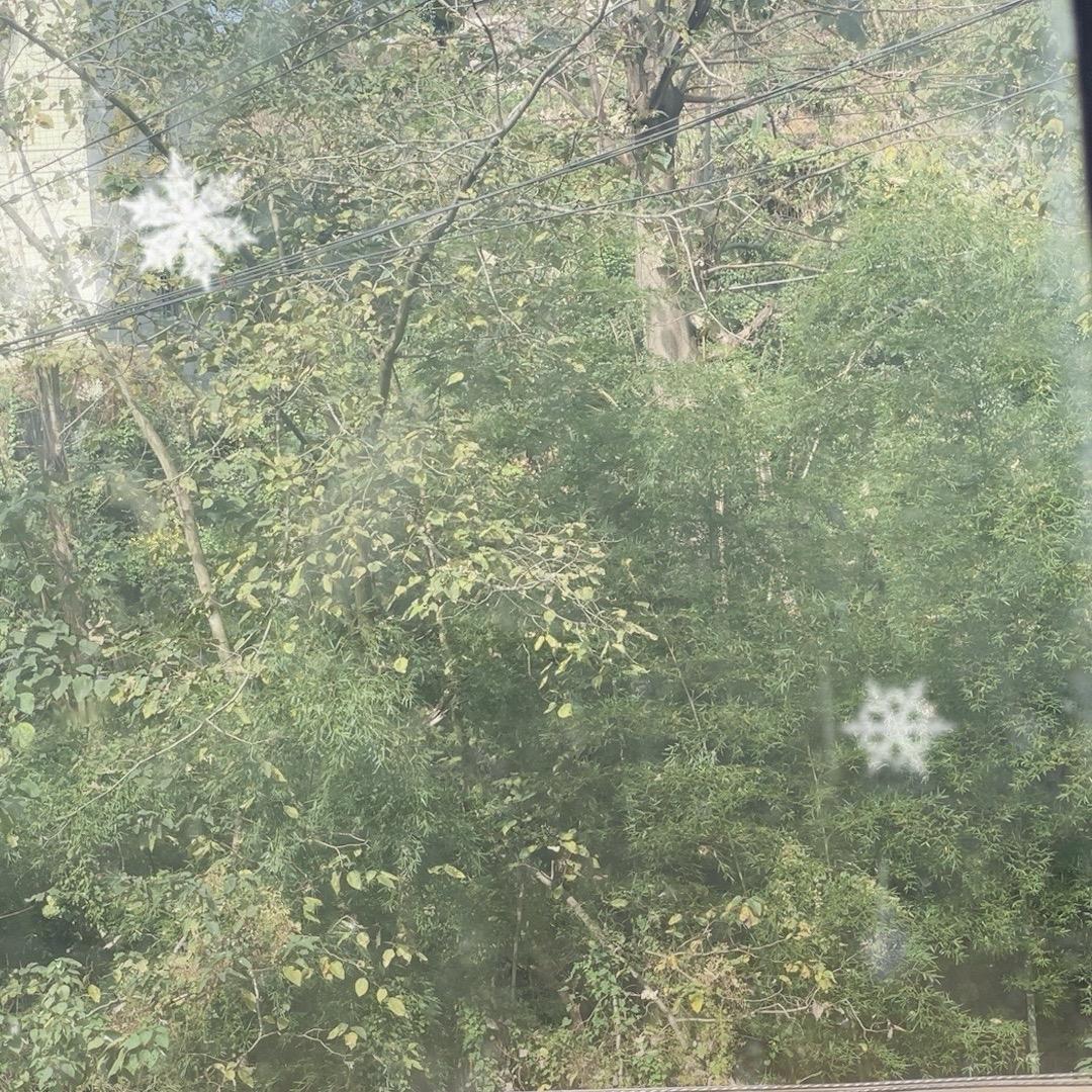 农家纯手工葛根粉