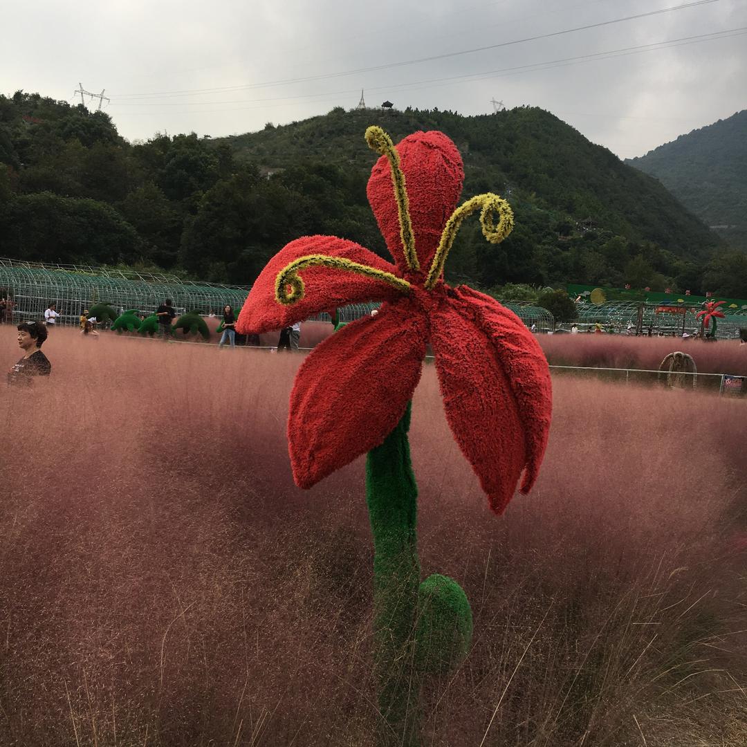 青青河边草