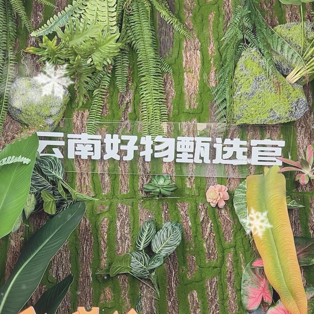 云南好物推荐