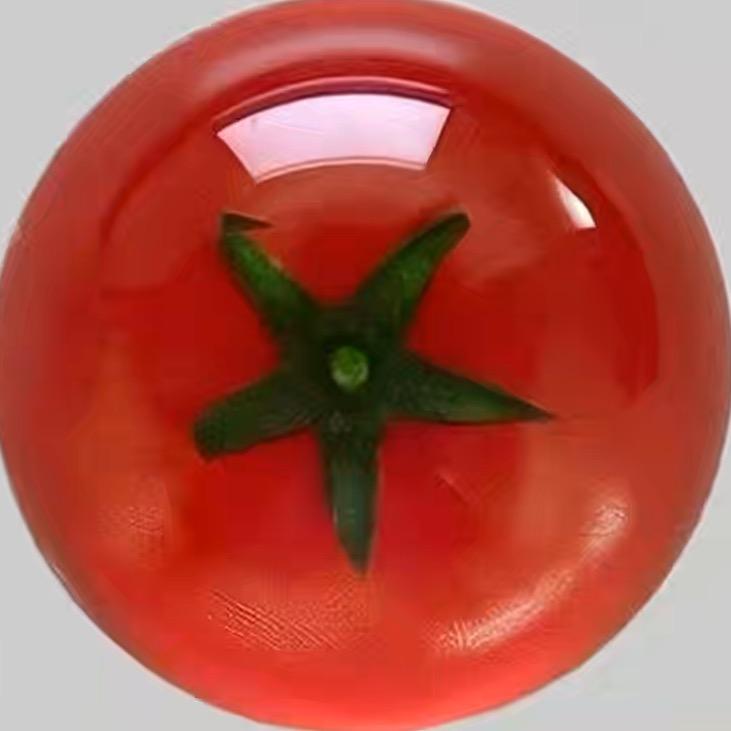 待风来