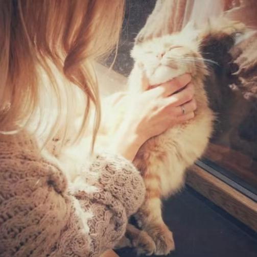 -猎7.★