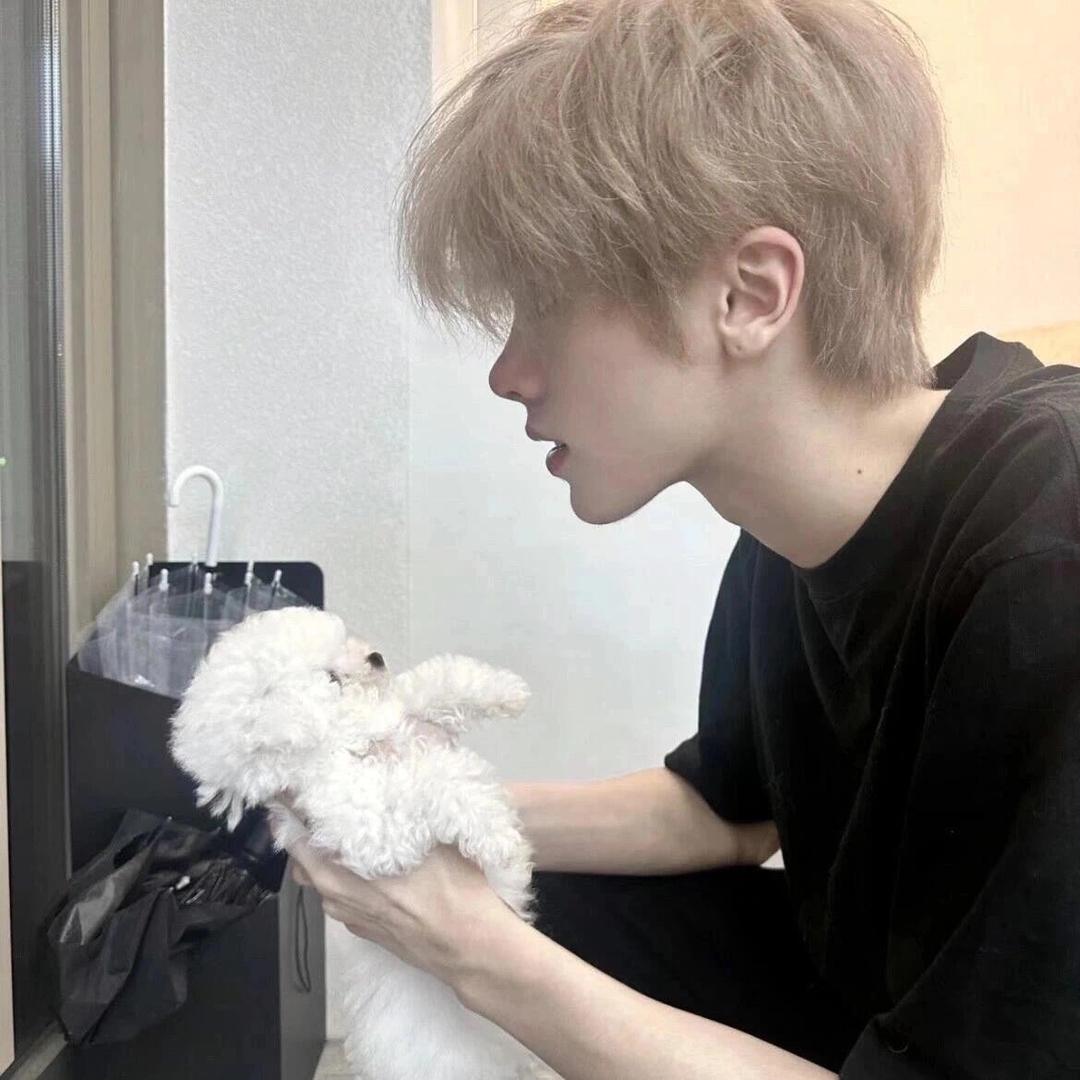 黑马（三角洲行动）