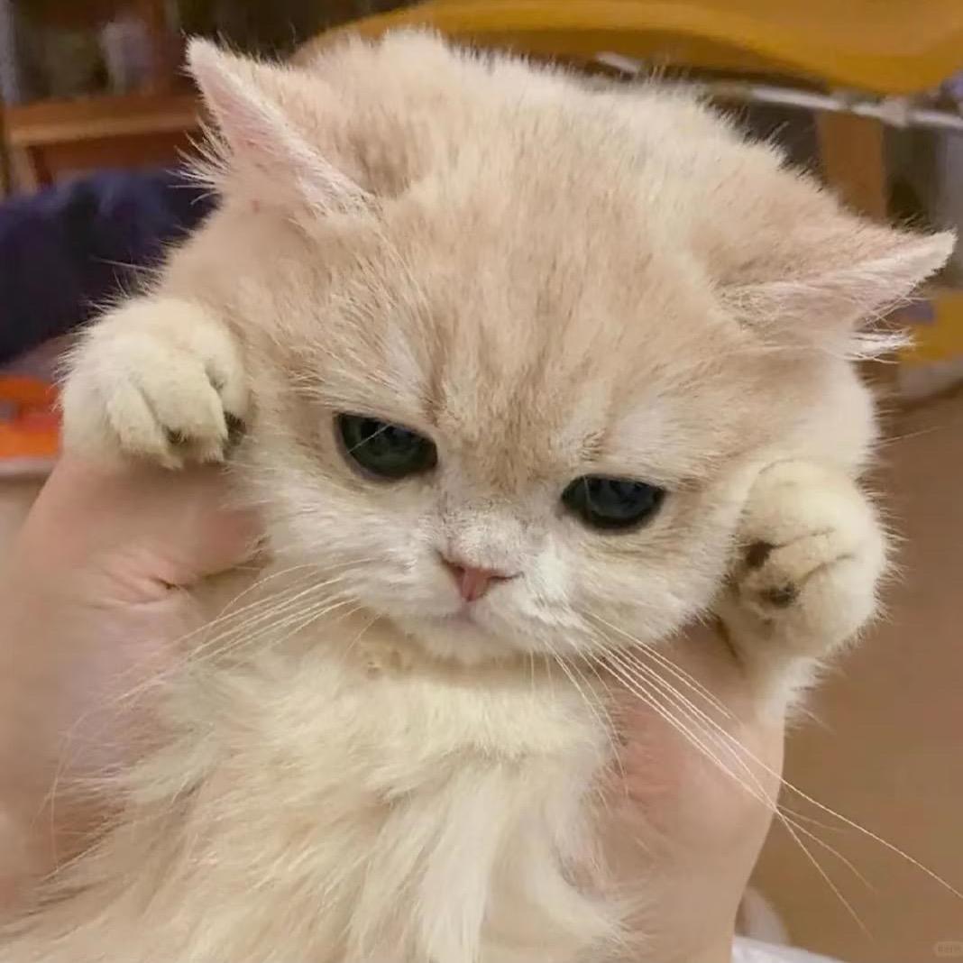 點點不夠乖_🐟