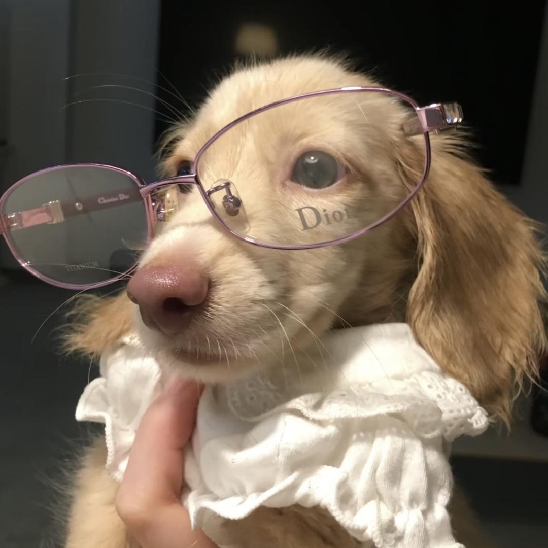 Magicbeans