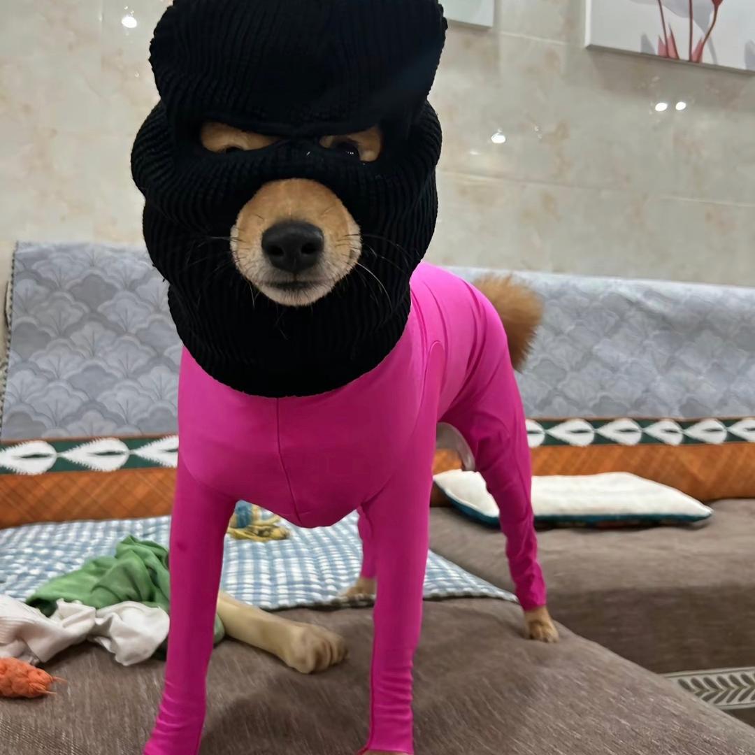 张要强
