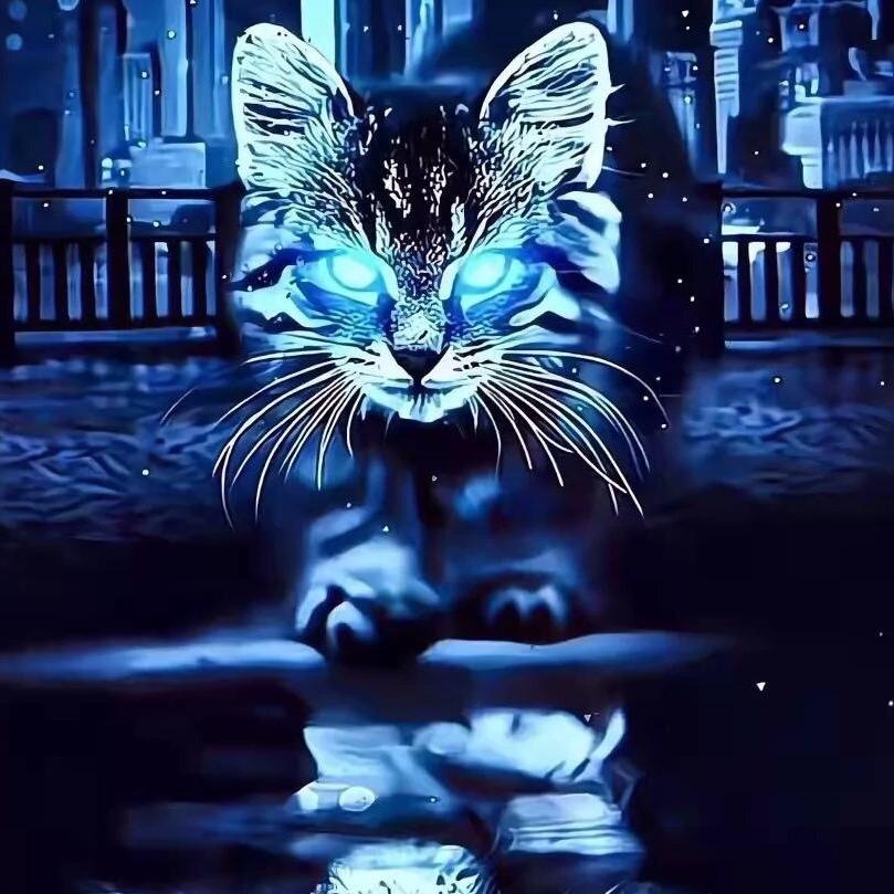 观察日记༻Slman Kok༺