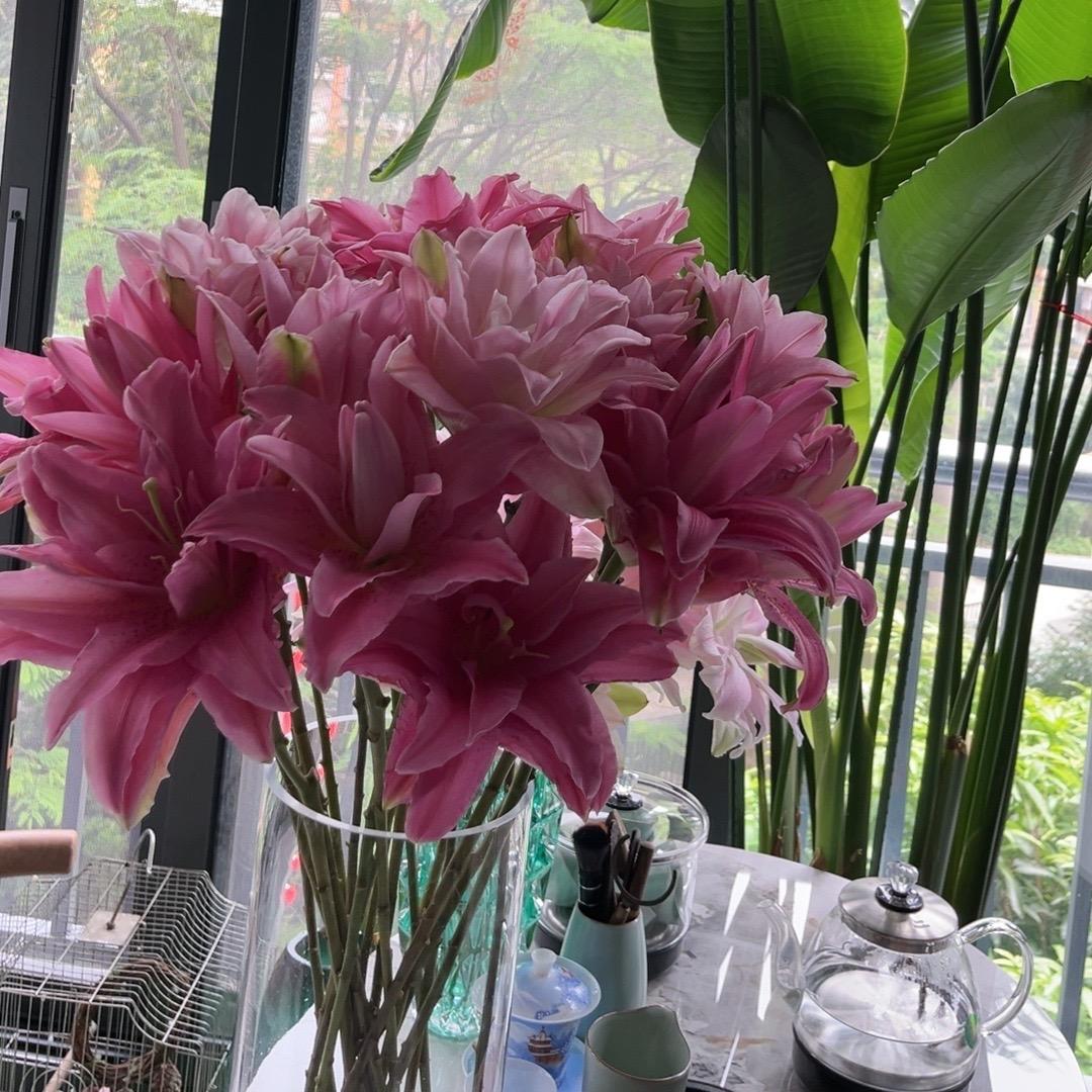 看破红尘不剃头