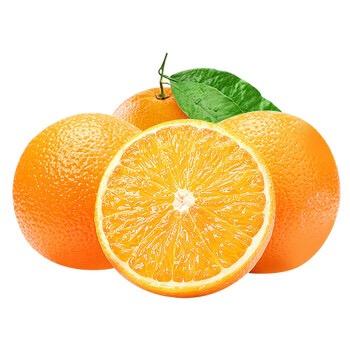 橙七