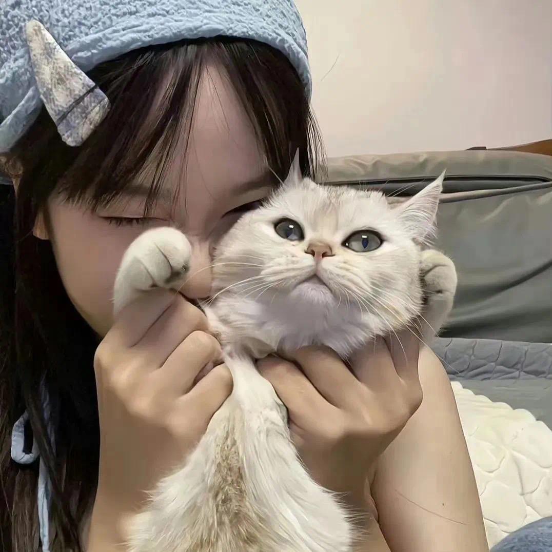 🍷牛牛🍷