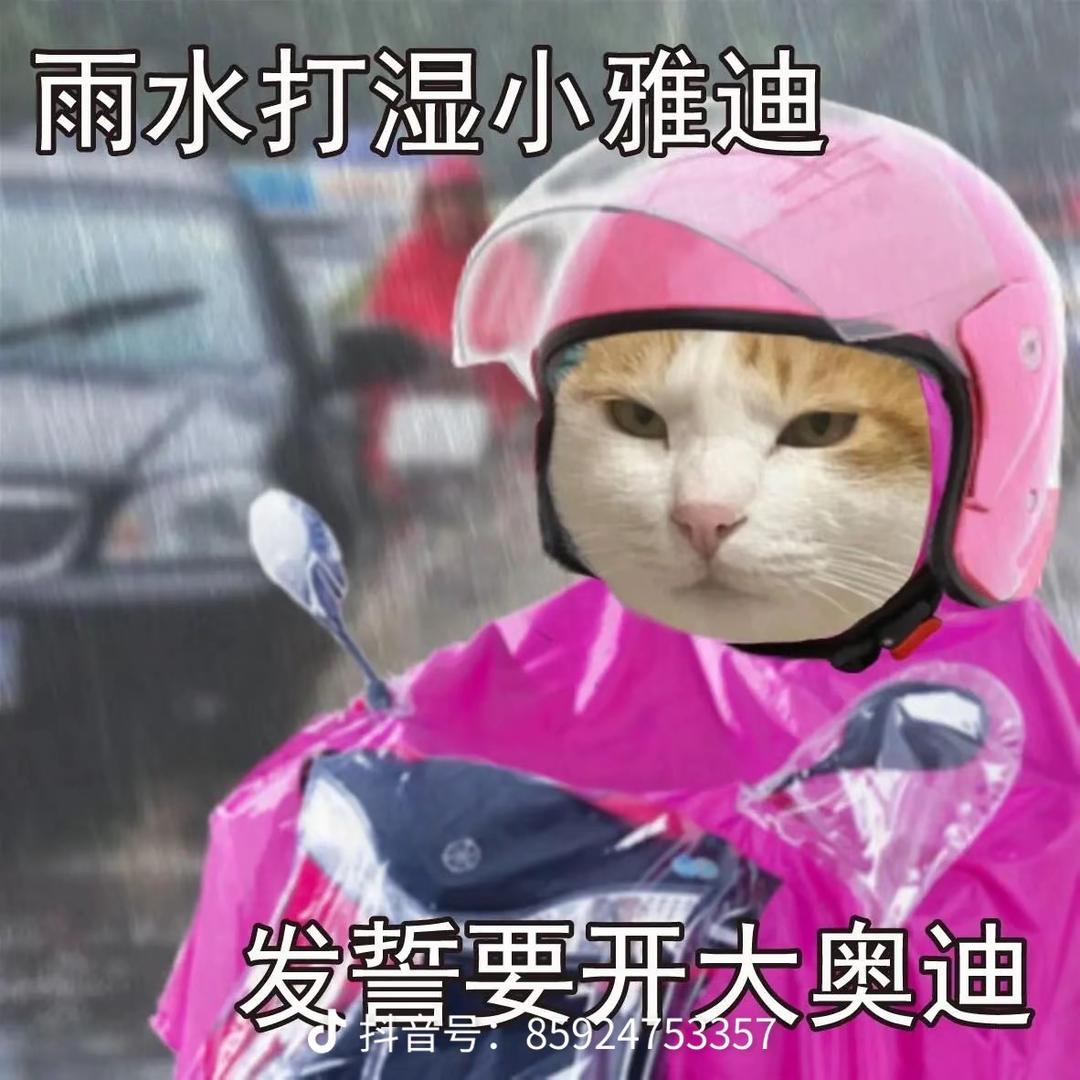 一个达不刘