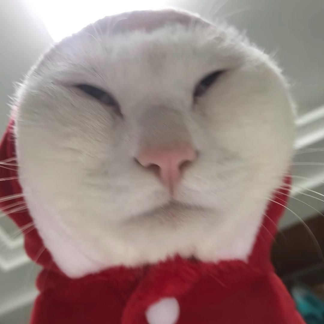 萌点
