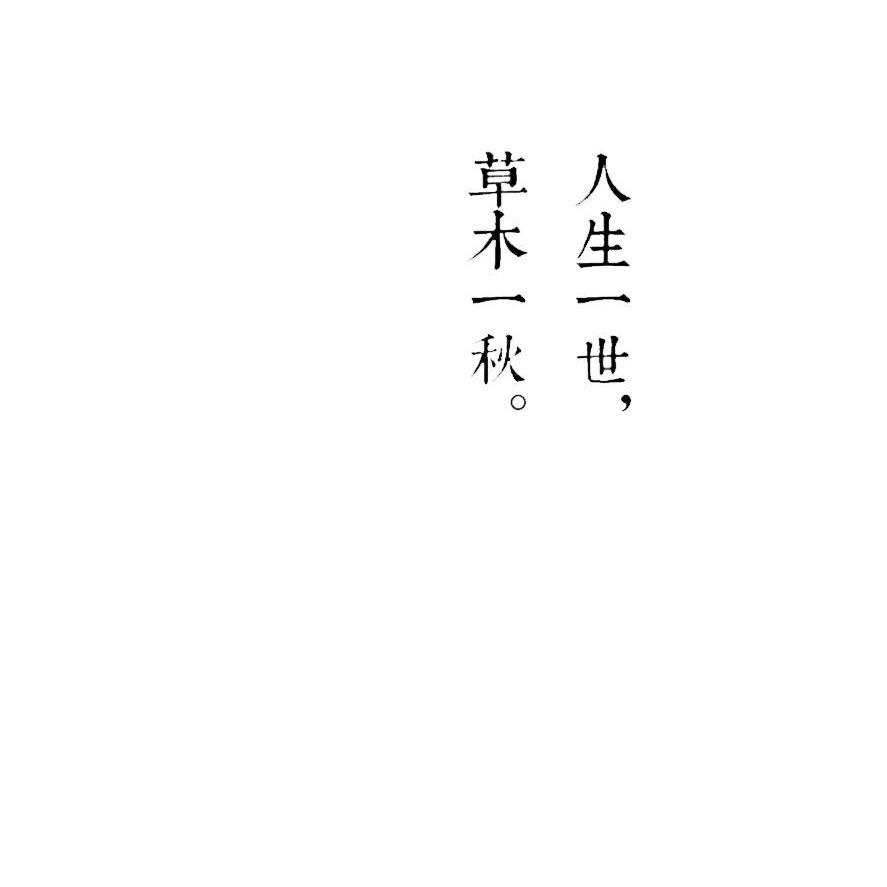 子荣追剧