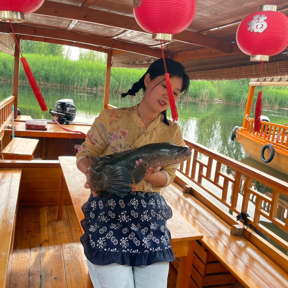白洋淀兰妮