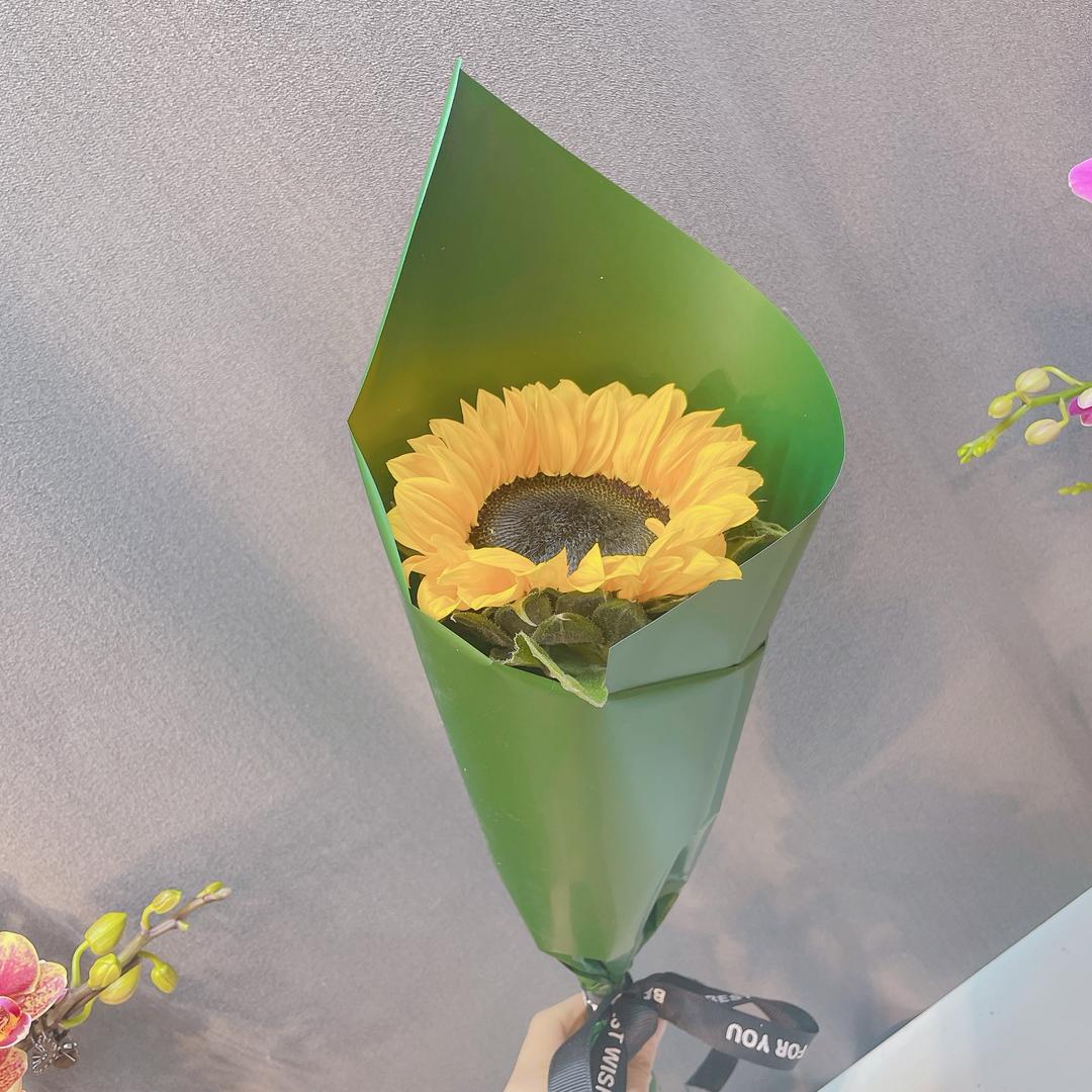 🌞小暖阳🌞