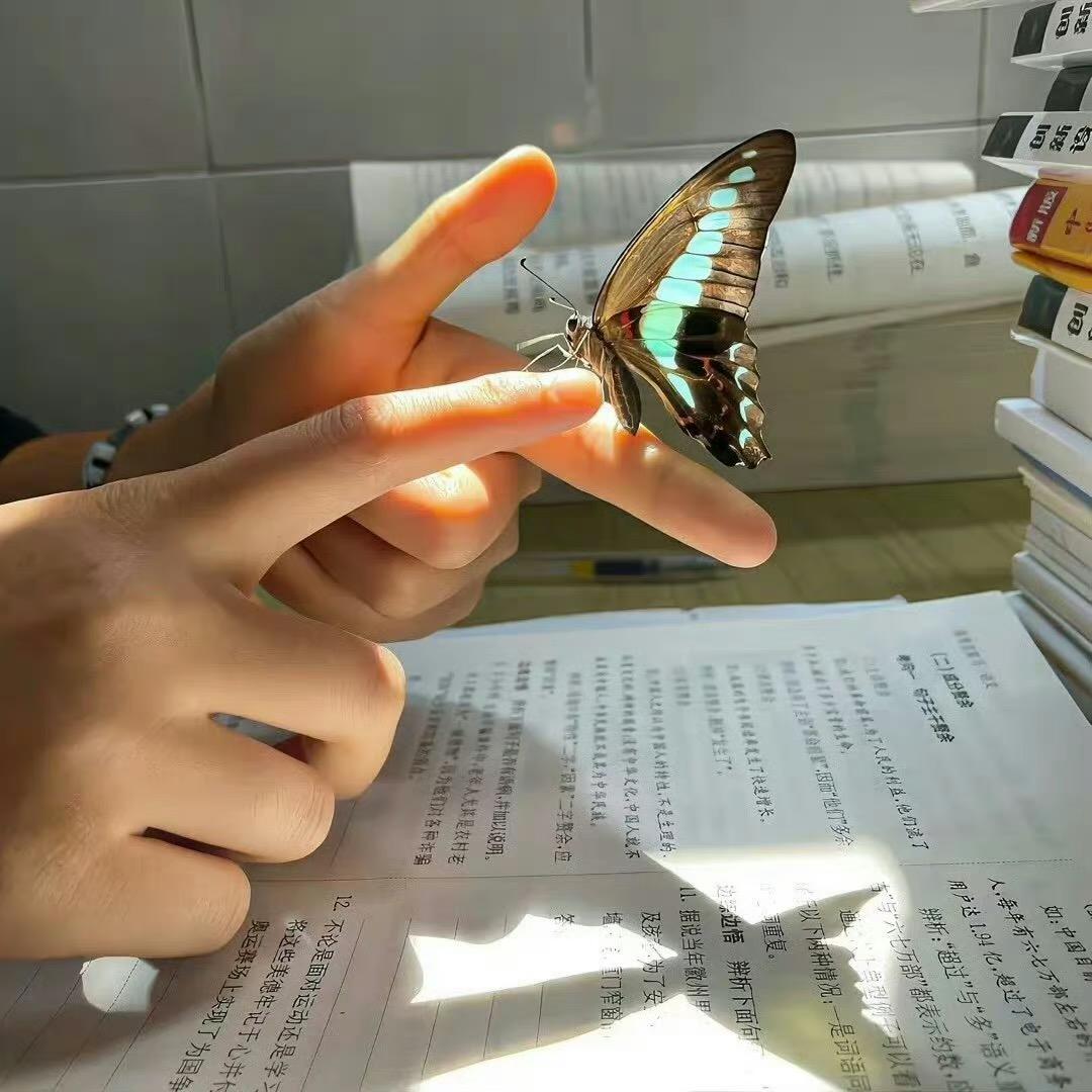 番茄儿（杜克直播回放）