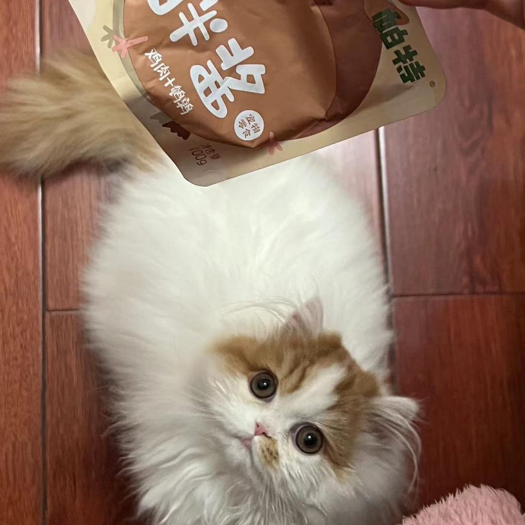 重生的p
