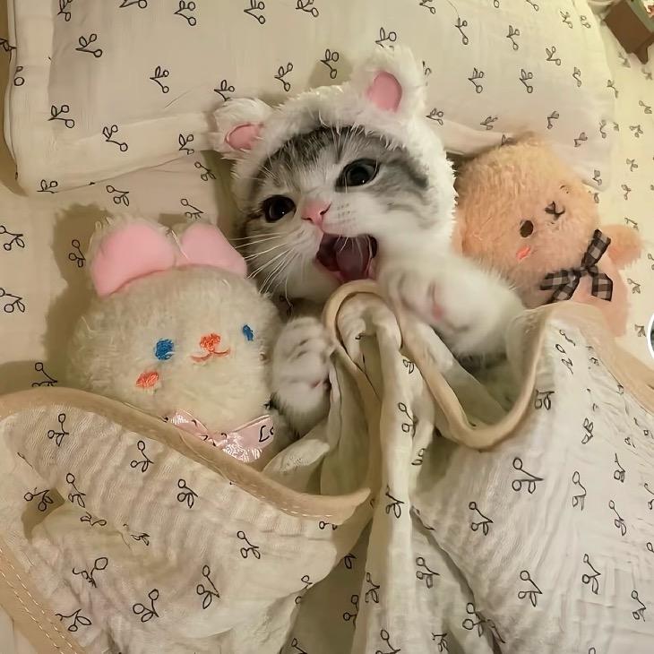 姚儿助眠馆（互）