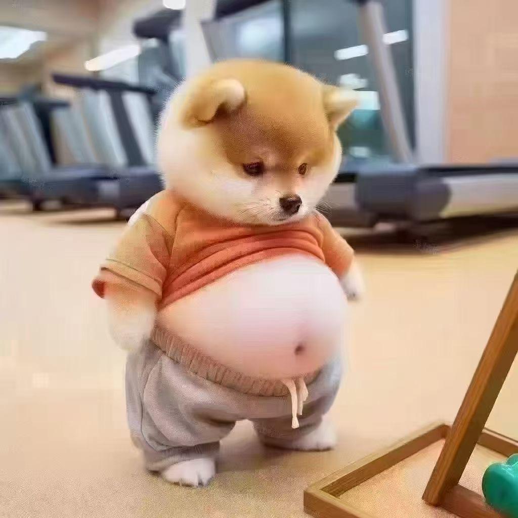 财神爷的大北鼻💰💰