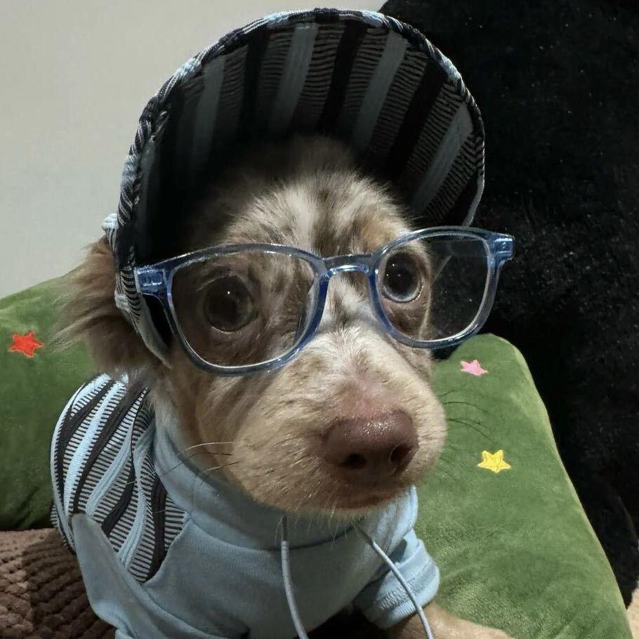 多吃蔬菜