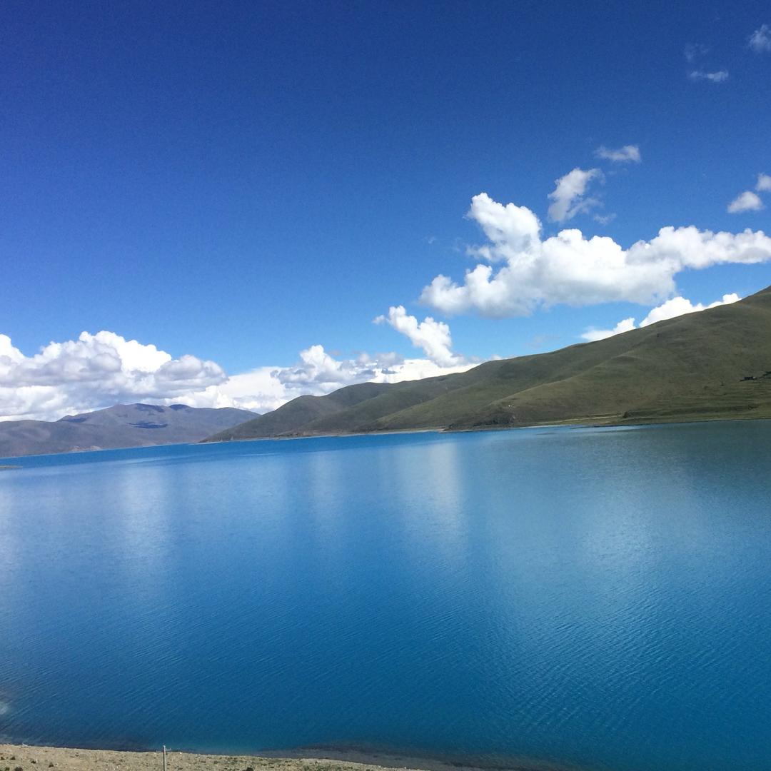 🐻‍❄️ 人间忽晚 🐻‍❄️