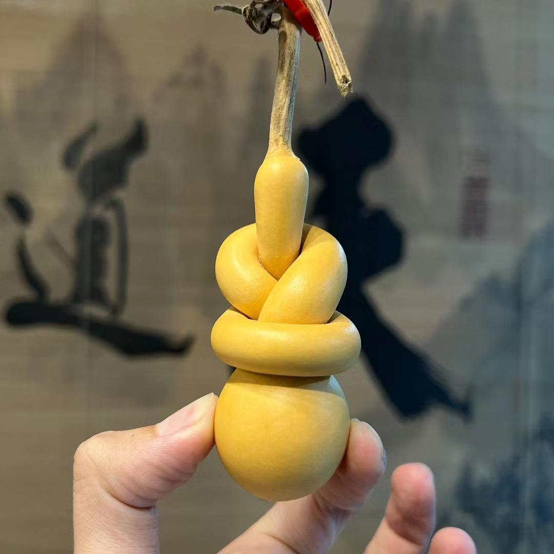 大樂葫芦