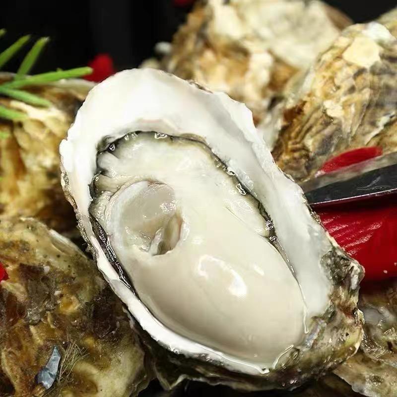 海舵甄选超市小时达