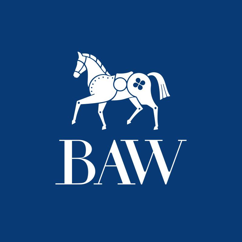 BAW马尾毛寝具企业店