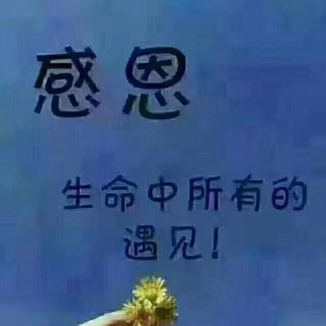 金熙果