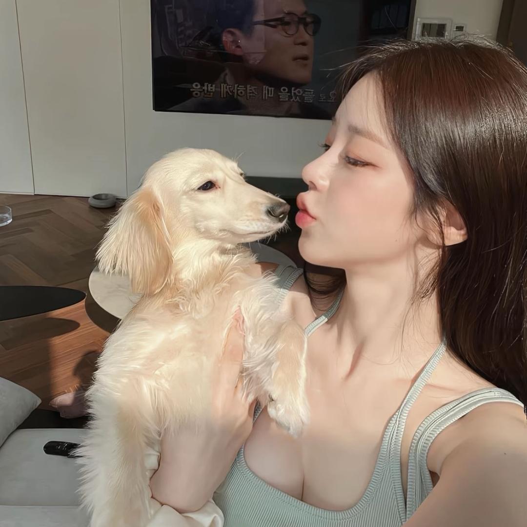 常态🐾