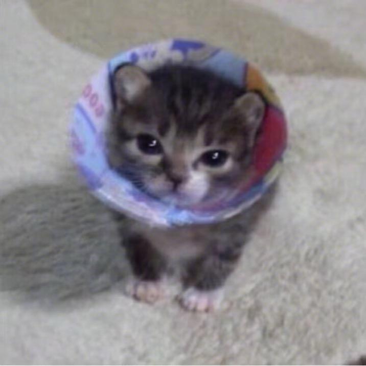 一酱