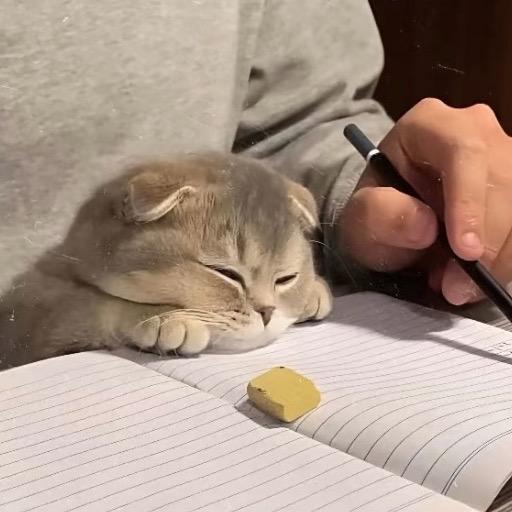 小北.