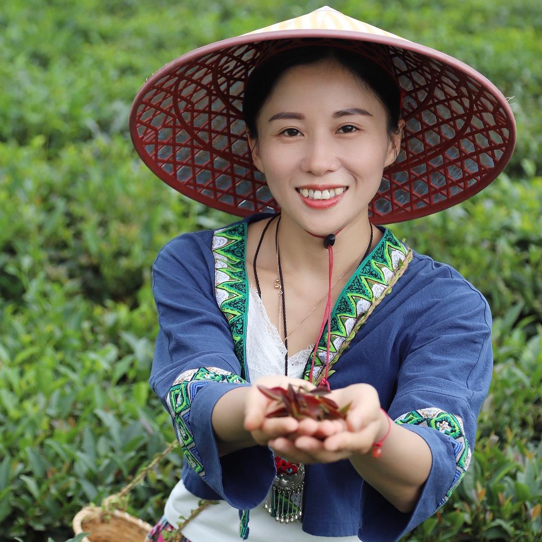 石濡菲