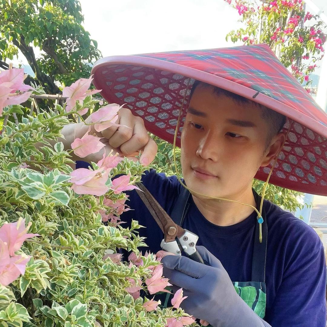 万家老师的花园